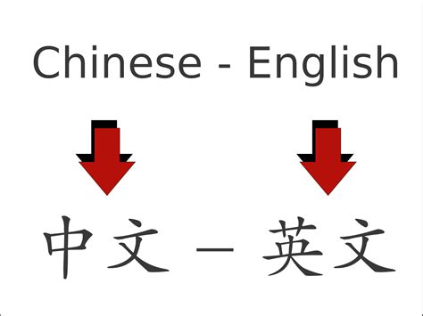 下水意思|Translation of 下水 – Traditional Chinese–English dictionary